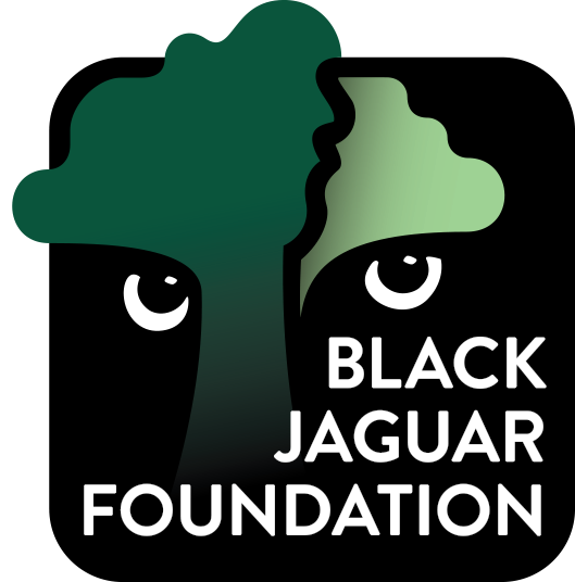 Jan Zandbergen Group - responsibility - sponsor of the Black Jaguar Foundation