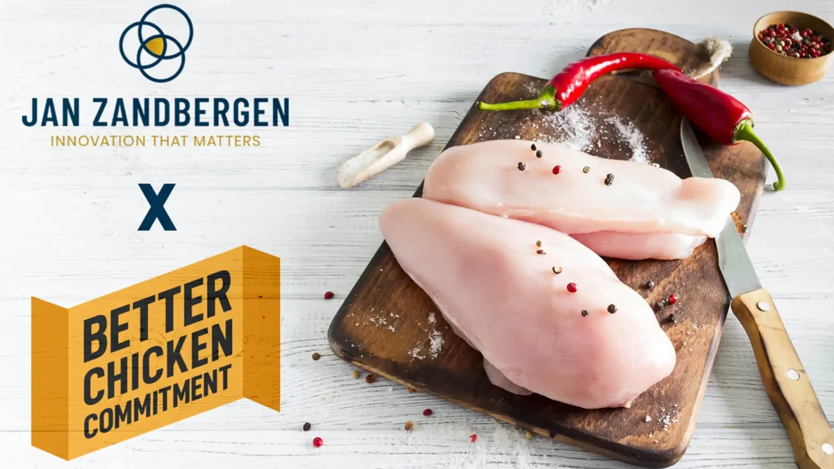 Jan Zandbergen - Better Chicken Commitment